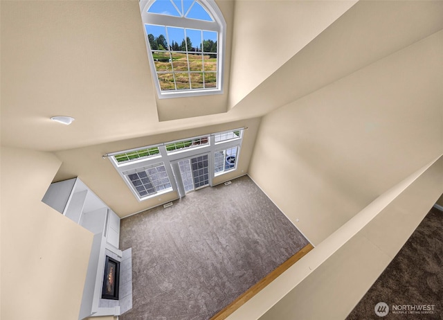 1725 Harrison Pl Unit 104, Lynden, WA 98264 - carpeted entrance foyer with a warm lit fireplace and a high ceiling