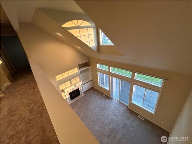 1725 Harrison Pl Unit 104, Lynden, WA 98264 - unfurnished living room with carpet, a towering ceiling, and a fireplace with flush hearth