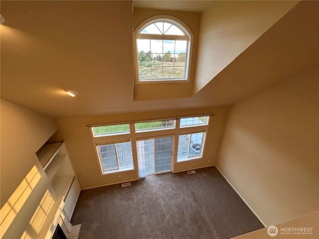 1725 Harrison Pl Unit 104, Lynden, WA 98264 - unfurnished living room featuring dark carpet and a high ceiling