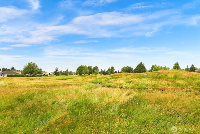 1725 Harrison Pl Unit 104, Lynden, WA 98264 - view of nature with rural landscape