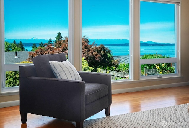 9423 45th Ave SW, Seattle, WA 98136 - sitting room featuring a mountain view, wood finished floors, and plenty of natural light