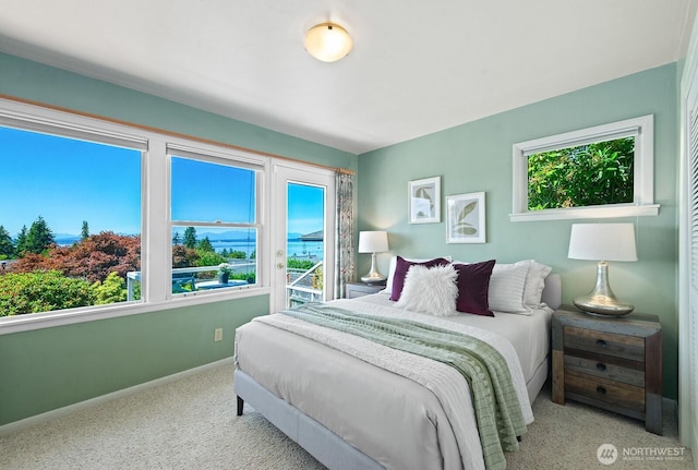 9423 45th Ave SW, Seattle, WA 98136 - bedroom with carpet and multiple windows