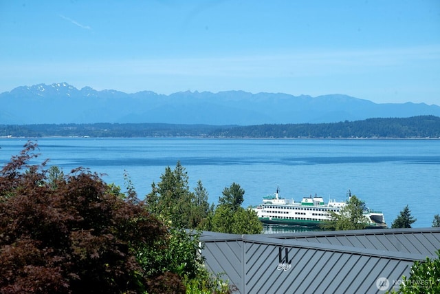 9423 45th Ave SW, Seattle, WA 98136 - water view featuring mountains