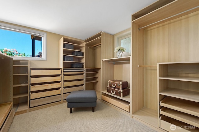 9423 45th Ave SW, Seattle, WA 98136 - walk in closet with carpet flooring