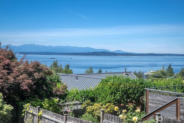 9423 45th Ave SW, Seattle, WA 98136 - water view with a mountainous background