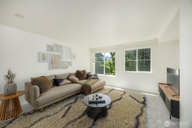 300 10th Ave Unit A310, Seattle, WA 98122 - living area featuring carpet and baseboards