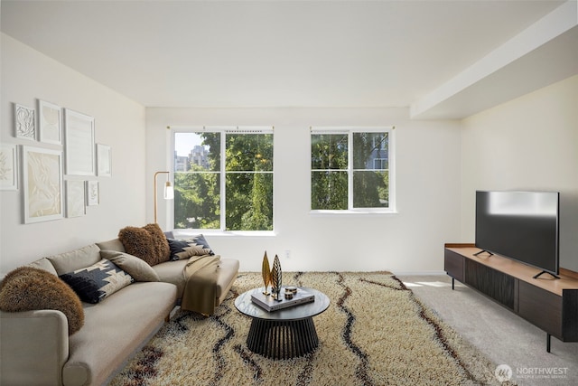 300 10th Ave Unit A310, Seattle, WA 98122 - living room with carpet flooring and baseboards