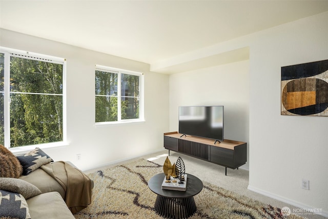 300 10th Ave Unit A310, Seattle, WA 98122 - living room with carpet flooring and baseboards