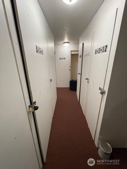 300 10th Ave Unit A310, Seattle, WA 98122 - hallway featuring carpet floors
