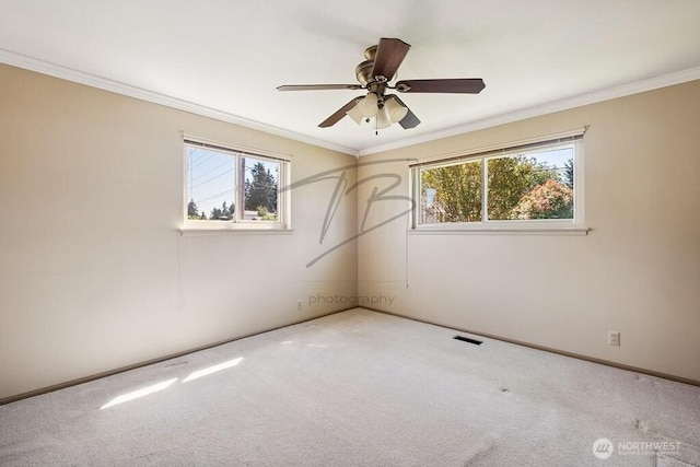 1727 E 64th St, Tacoma, WA 98404 - spare room with carpet floors, ornamental molding, and a ceiling fan