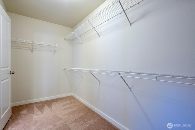 13431 38th Ave SE, Mill Creek, WA 98012 - photo 17