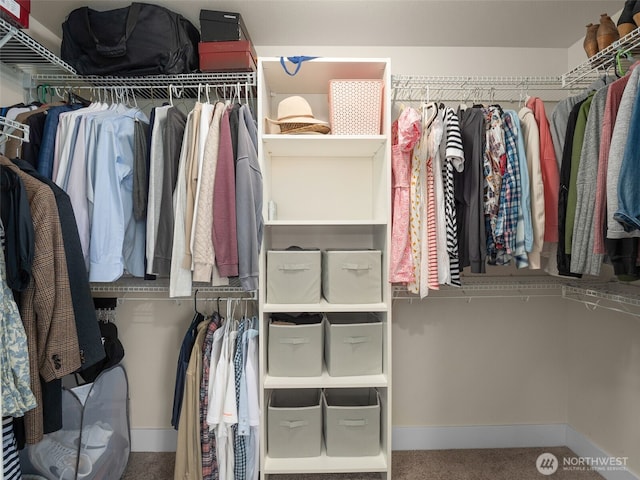 4419 141st Pl SE, Snohomish, WA 98296 - walk in closet featuring carpet