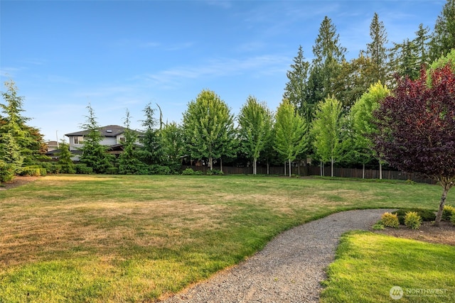 4419 141st Pl SE, Snohomish, WA 98296 - view of yard