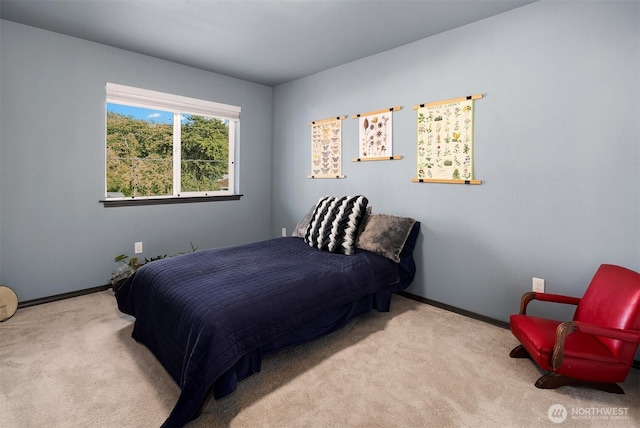 830 Mill Ave, Snohomish, WA 98290 - bedroom with carpet floors and baseboards