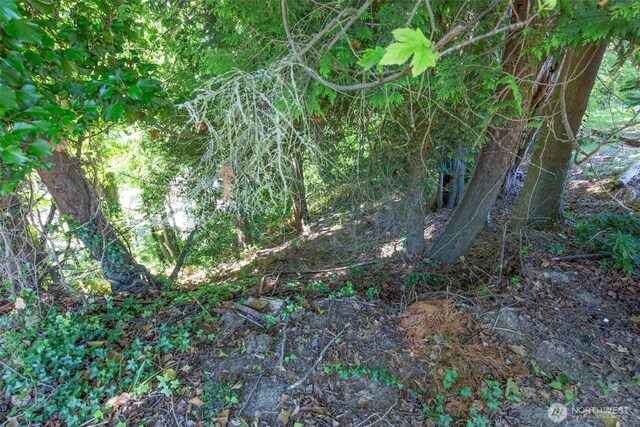 314 E 2nd St, Port Angeles, WA 98362 - view of local wilderness
