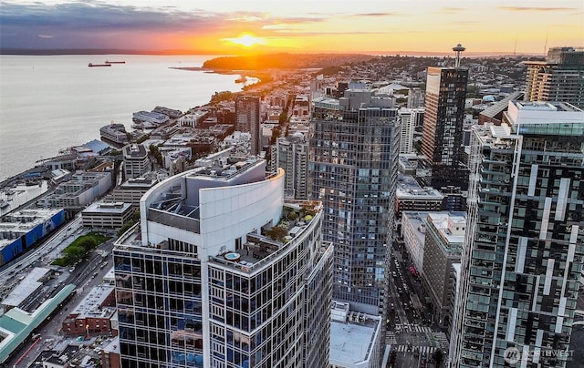 1521 2nd Ave Unit 3801, Seattle, WA 98101 - view of urban area with a large body of water