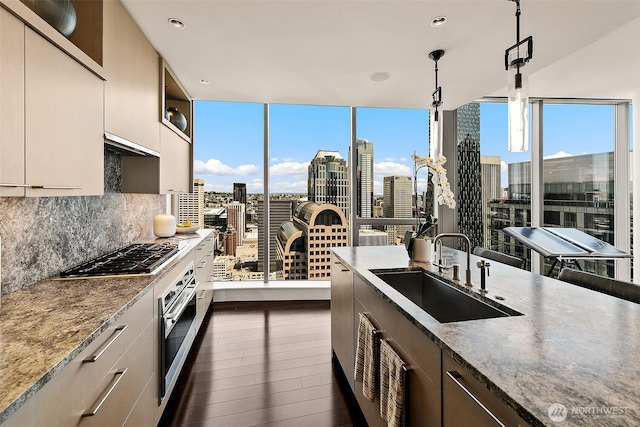 1521 2nd Ave Unit 3801, Seattle, WA 98101 - kitchen featuring appliances with stainless steel finishes, dark wood finished floors, decorative backsplash, a skyline view, and light stone counters