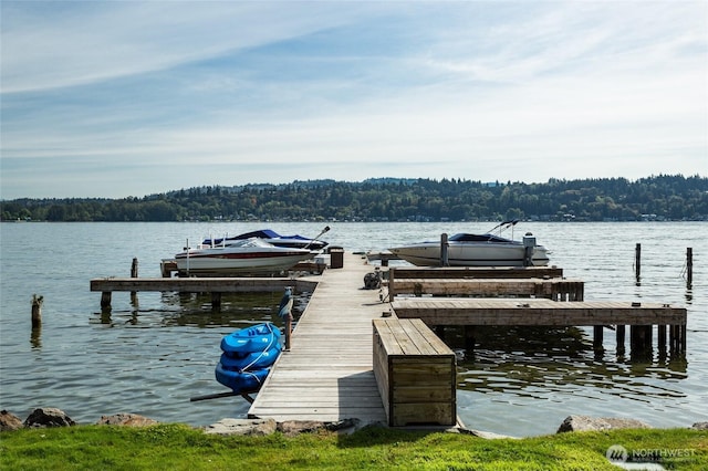 4802 E Mercer Way, Mercer Island, WA 98040 - dock featuring a wooded view, boat lift, and a water view