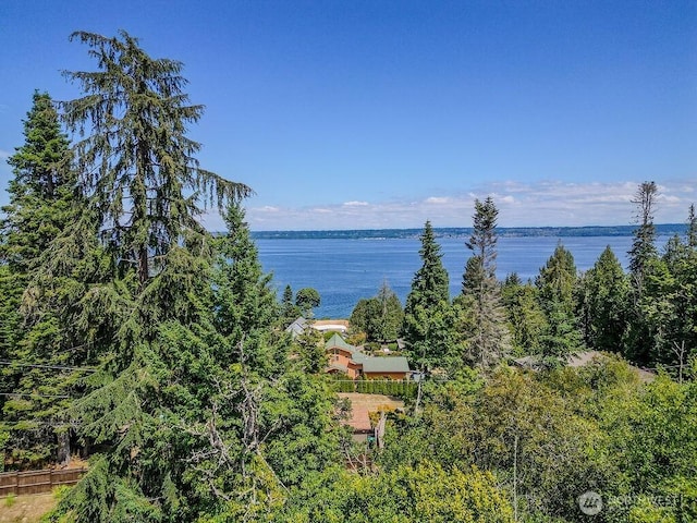 23065 Jefferson Point Rd NE, Kingston, WA 98346 - photo 1