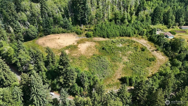 125 Remmen Rd, Elma, WA 98541 - photo 1