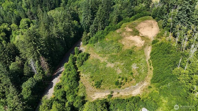125 Remmen Rd, Elma, WA 98541 - photo 4