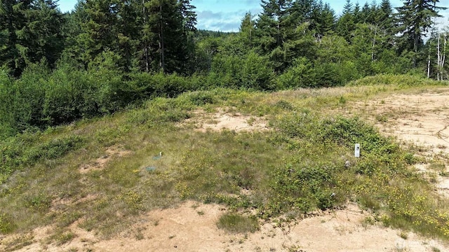 125 Remmen Rd, Elma, WA 98541 - photo 10