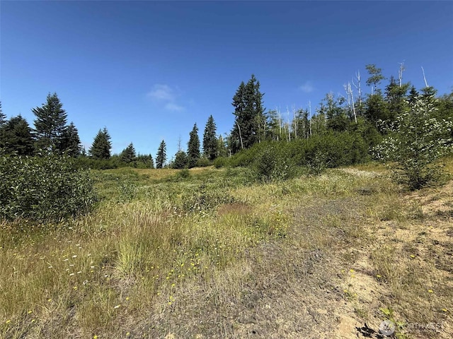 125 Remmen Rd, Elma, WA 98541 - photo 12