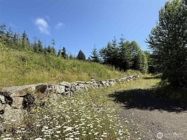 125 Remmen Rd, Elma, WA 98541 - photo 17