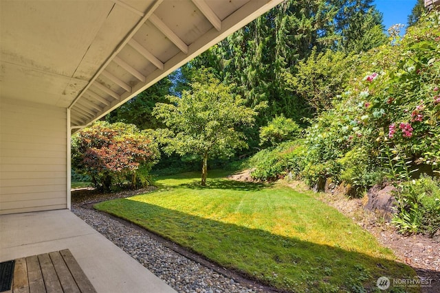 4050 NE 197th St, Lake Forest Park, WA 98155 - view of green lawn