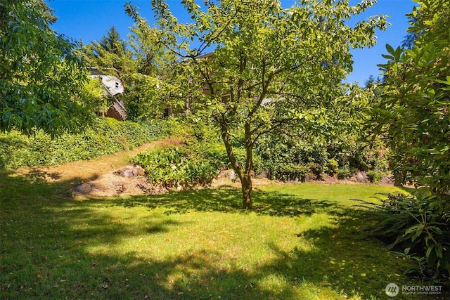 4050 NE 197th St, Lake Forest Park, WA 98155 - view of grassy yard