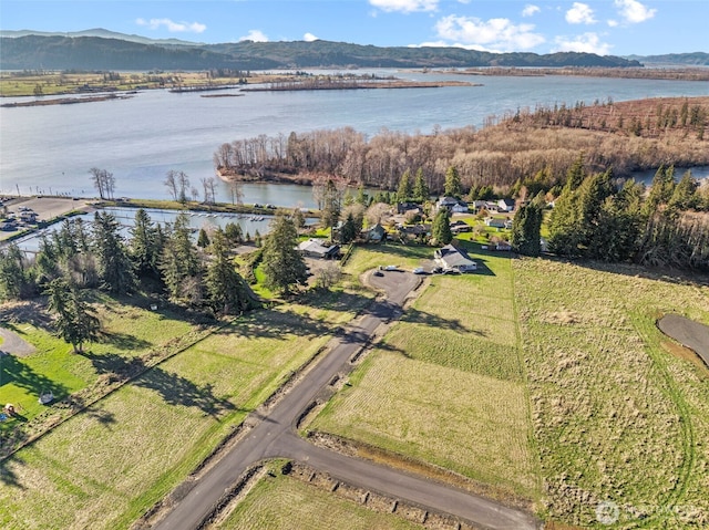 38 Sunnyfield Dr, Cathlamet, WA 98612 - photo 3