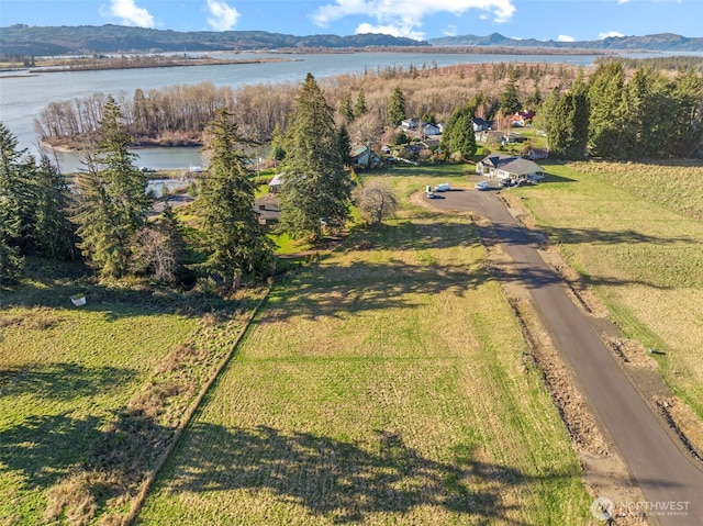 38 Sunnyfield Dr, Cathlamet, WA 98612 - photo 7