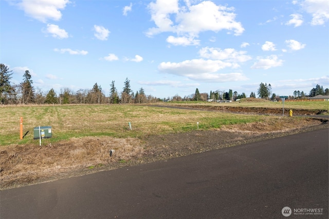 38 Sunnyfield Dr, Cathlamet, WA 98612 - photo 8