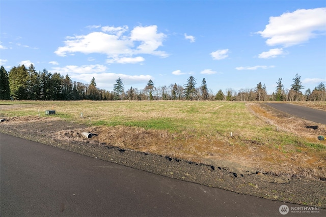 38 Sunnyfield Dr, Cathlamet, WA 98612 - photo 9