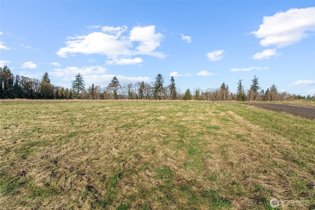 38 Sunnyfield Dr, Cathlamet, WA 98612 - photo 10