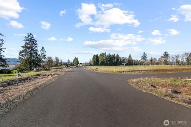 38 Sunnyfield Dr, Cathlamet, WA 98612 - photo 11