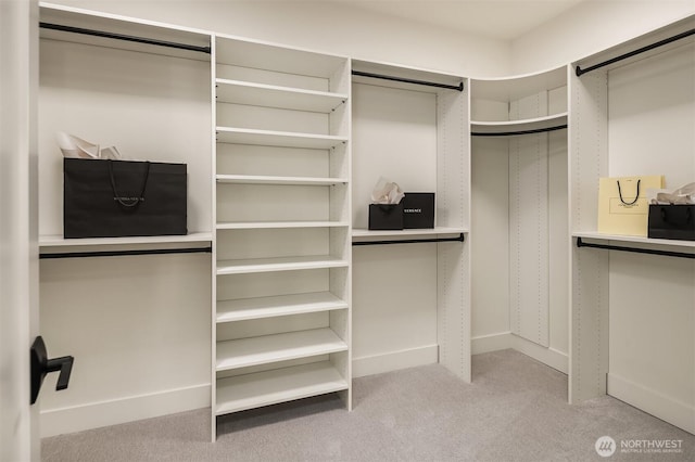 11618 NE 111th St, Kirkland, WA 98033 - walk in closet featuring carpet floors