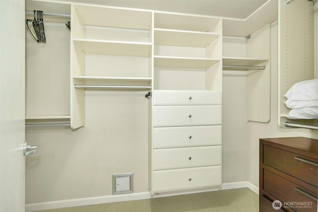 17 W Mercer St Unit 212, Seattle, WA 98119 - view of spacious closet