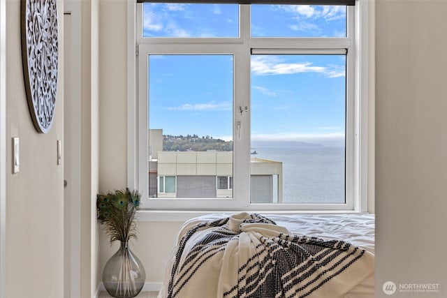 2721 1st Ave Unit 1101, Seattle, WA 98121 - detailed view of nearby water