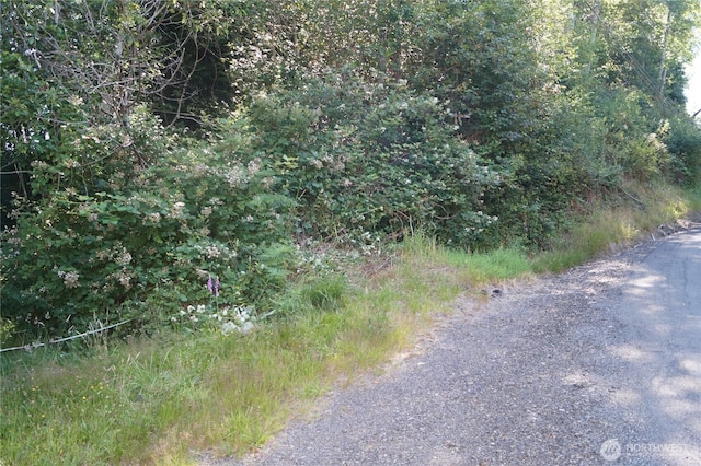 0NKA Bigelow Dr, Aberdeen, WA 98520 - photo 1