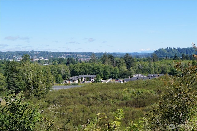 0NKA Bigelow Dr, Aberdeen, WA 98520 - photo 3