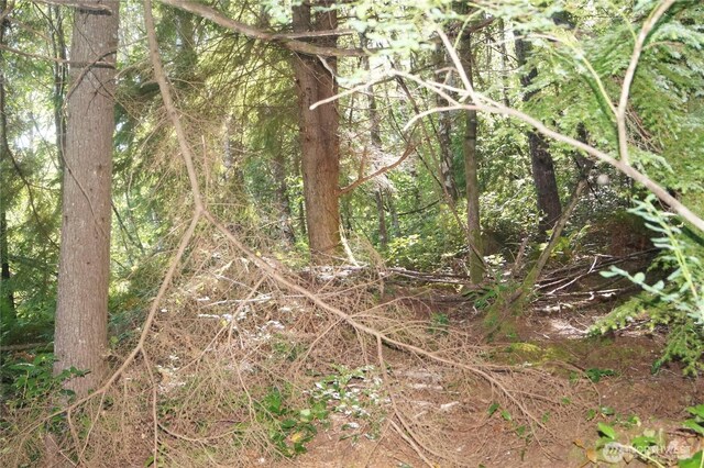0NKA Bigelow Dr, Aberdeen, WA 98520 - photo 4