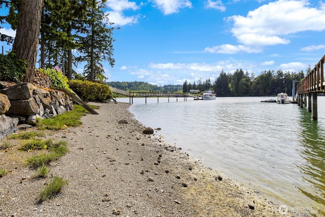 1312 NE S Petterson Rd, Keyport, WA 98345 - photo 34