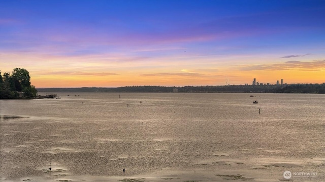 9727 NE Juanita Dr Unit 308, Kirkland, WA 98034 - yard at dusk featuring a water view