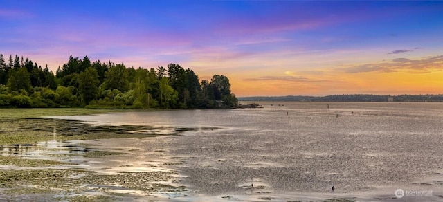 9727 NE Juanita Dr Unit 308, Kirkland, WA 98034 - water view