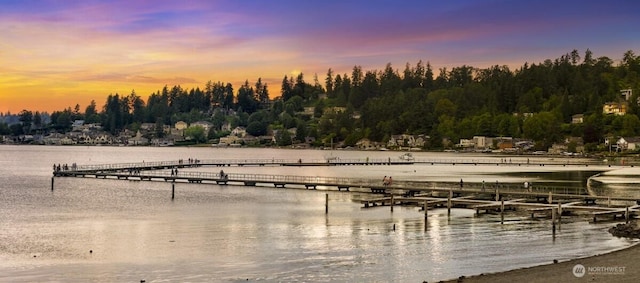 9727 NE Juanita Dr Unit 308, Kirkland, WA 98034 - dock featuring a water view