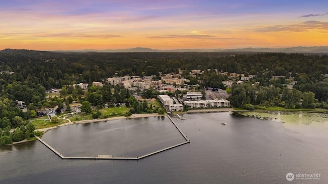 9727 NE Juanita Dr Unit 308, Kirkland, WA 98034 - drone / aerial view of a heavily wooded area and a nearby body of water