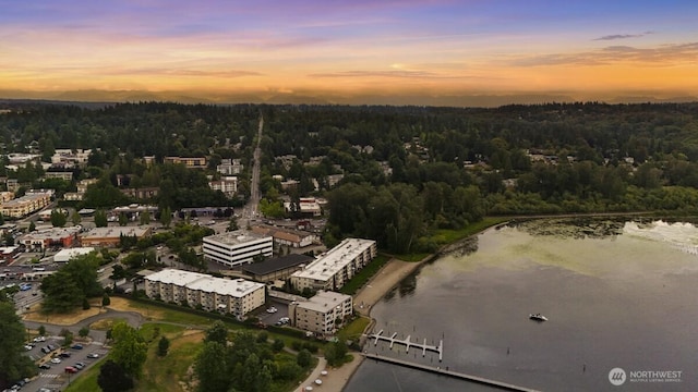9727 NE Juanita Dr Unit 308, Kirkland, WA 98034 - aerial view at dusk of a water view and a view of trees