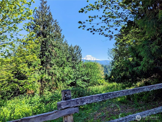 23105 165th Ave E, Graham, WA 98338 - photo 1