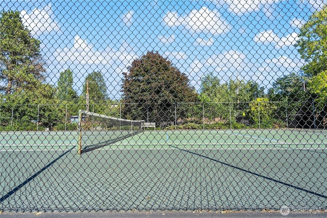 6405 Sand Point Way NE, Seattle, WA 98115 - view of tennis court